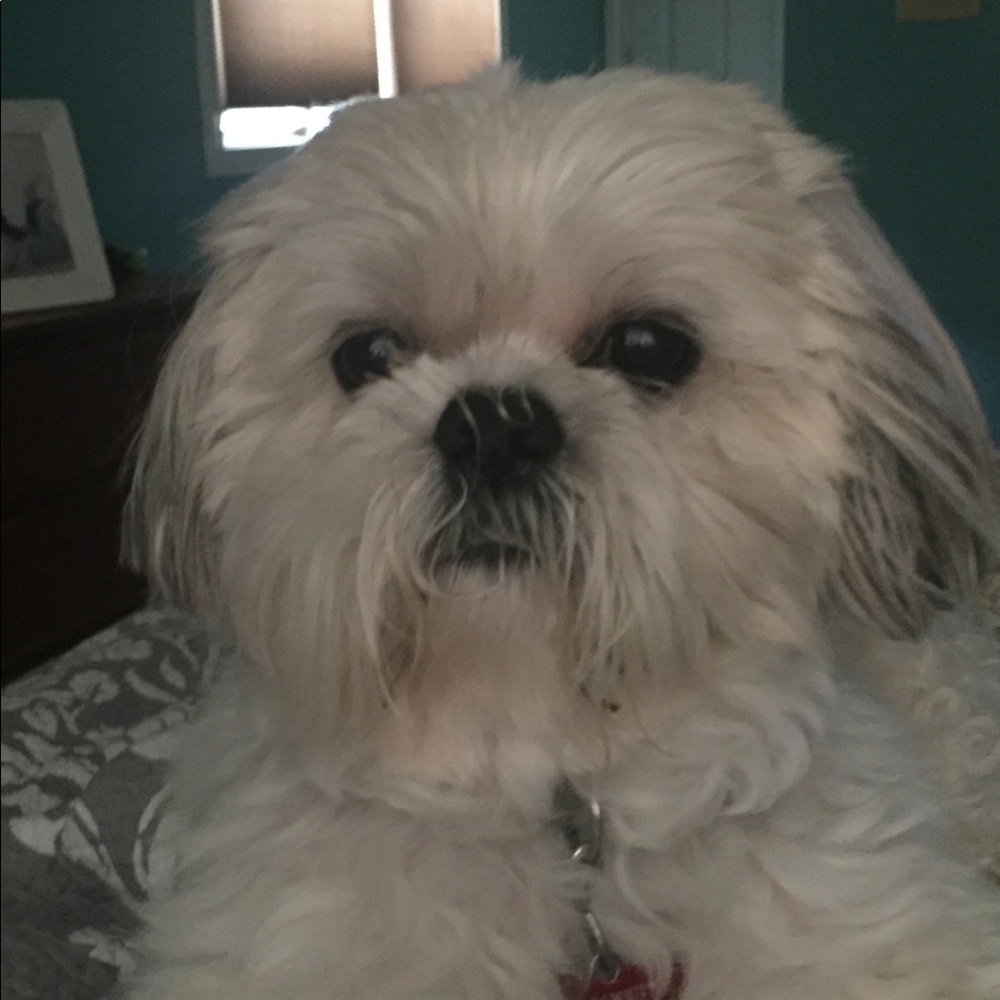 Meet your Posher, Lynne